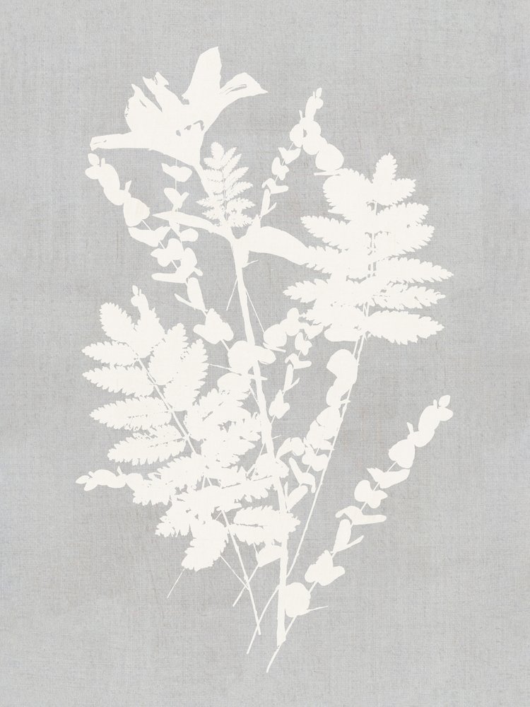 植物のシルエット研究 作： 