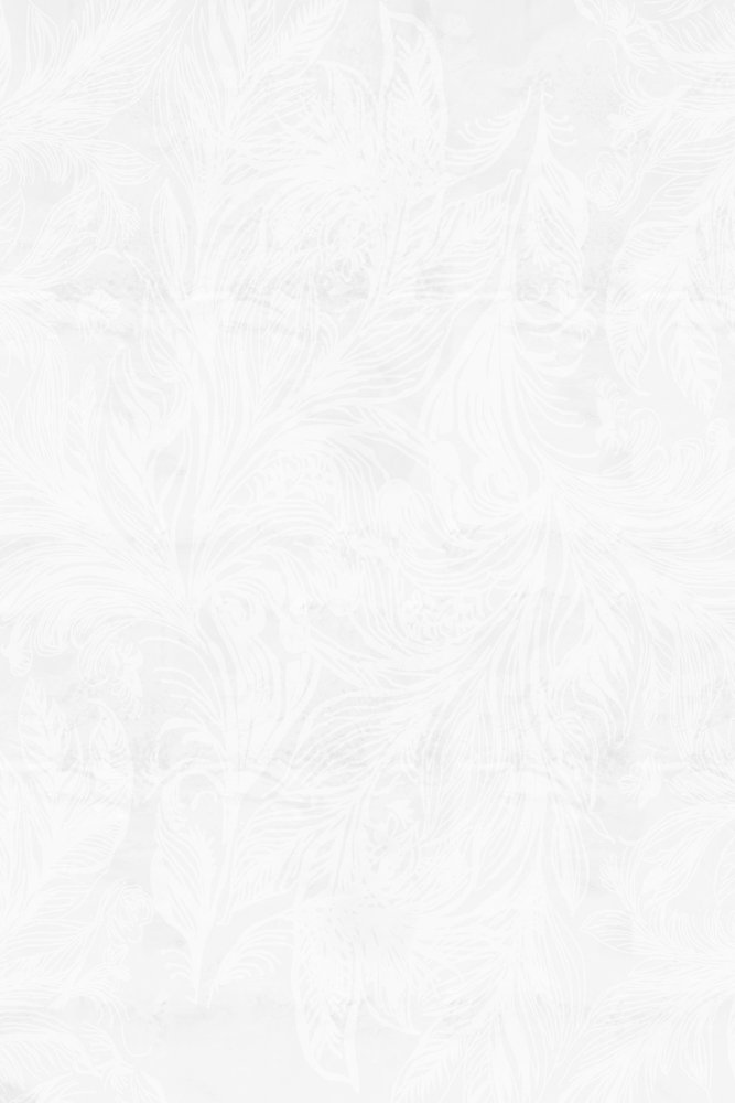 繊細な霜の模様 作： 