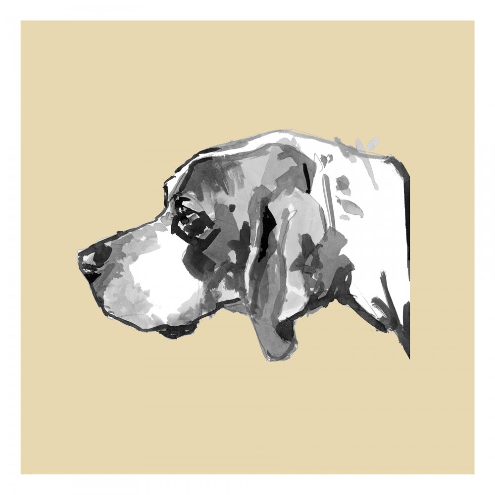 優雅な犬の横顔 作： 