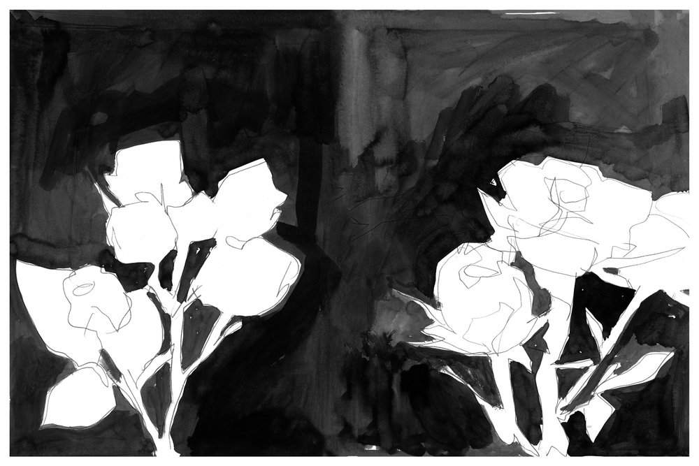 優雅な夜の花 作： 