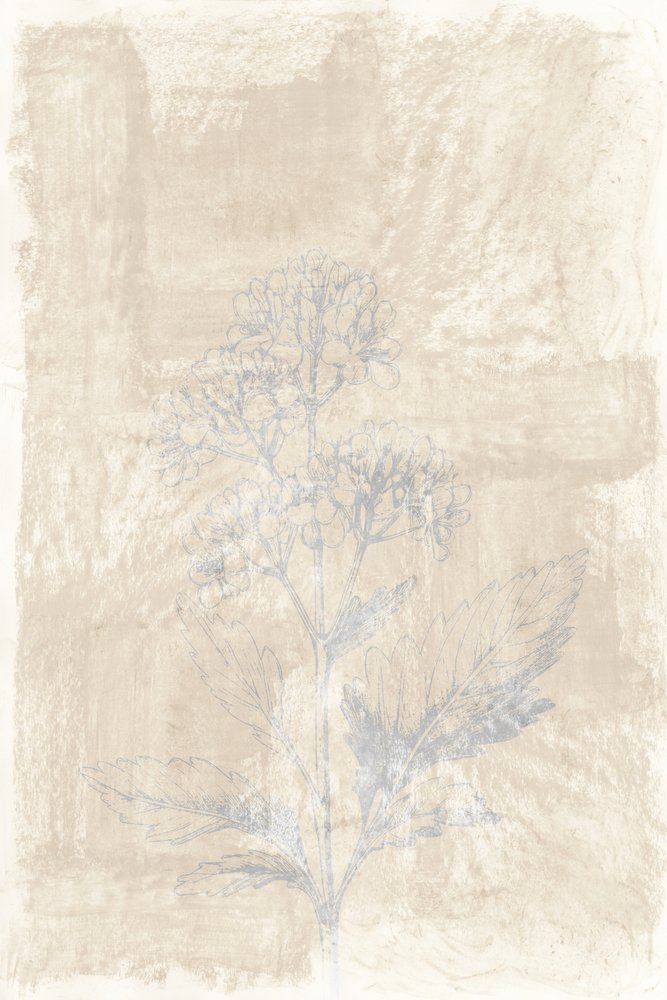 色あせた植物スケッチ 作： 