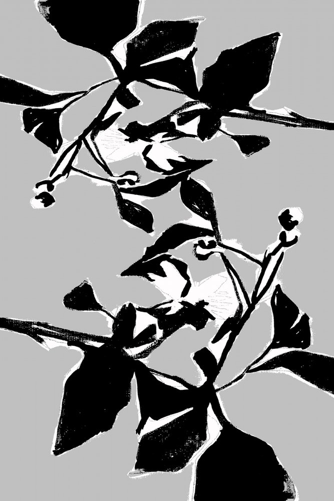 植物柄のグラフィック 作： 