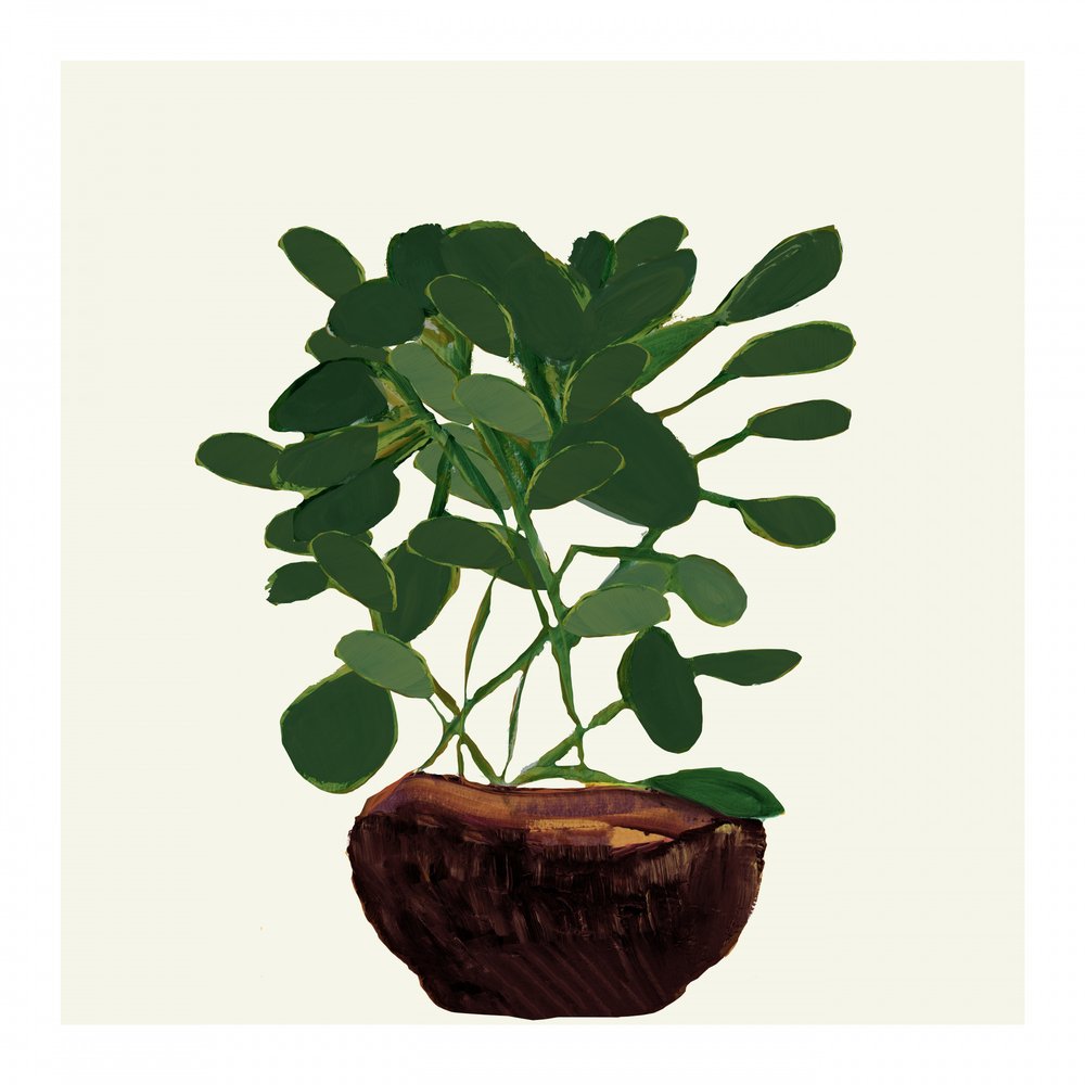 緑の鉢植え 作： 