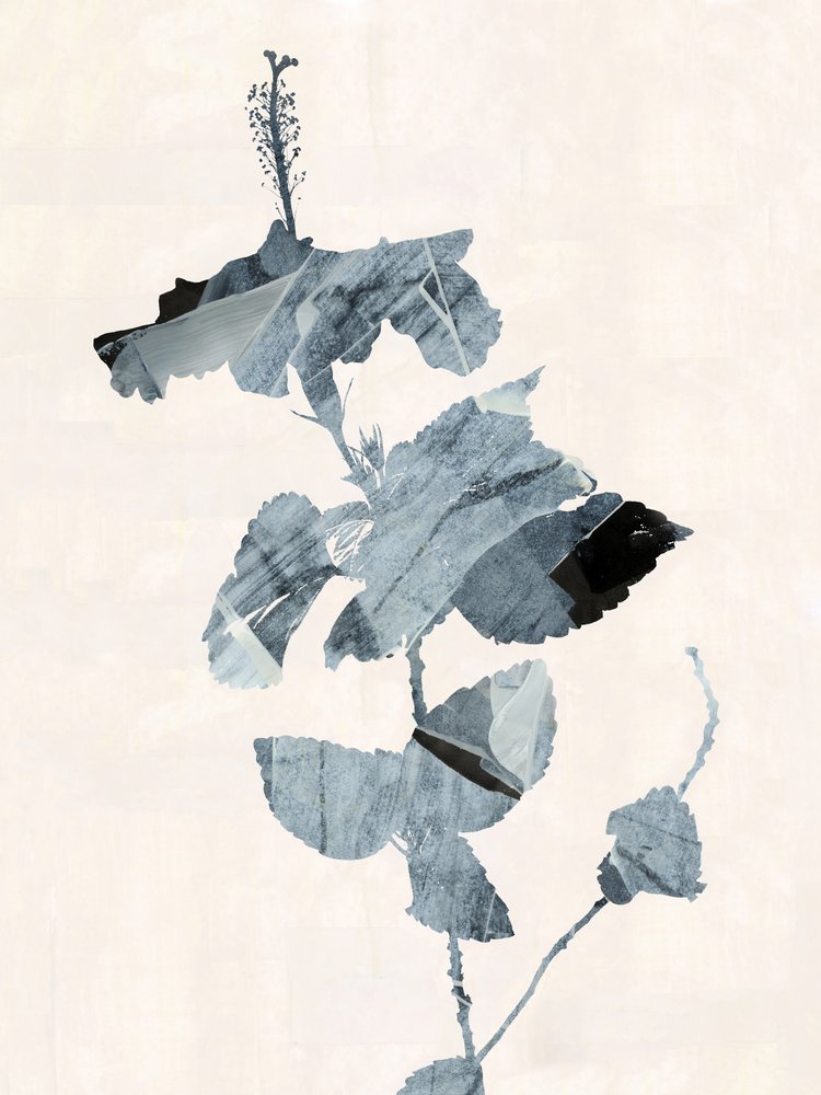 ハイビスカスの花 抽象画 作： 