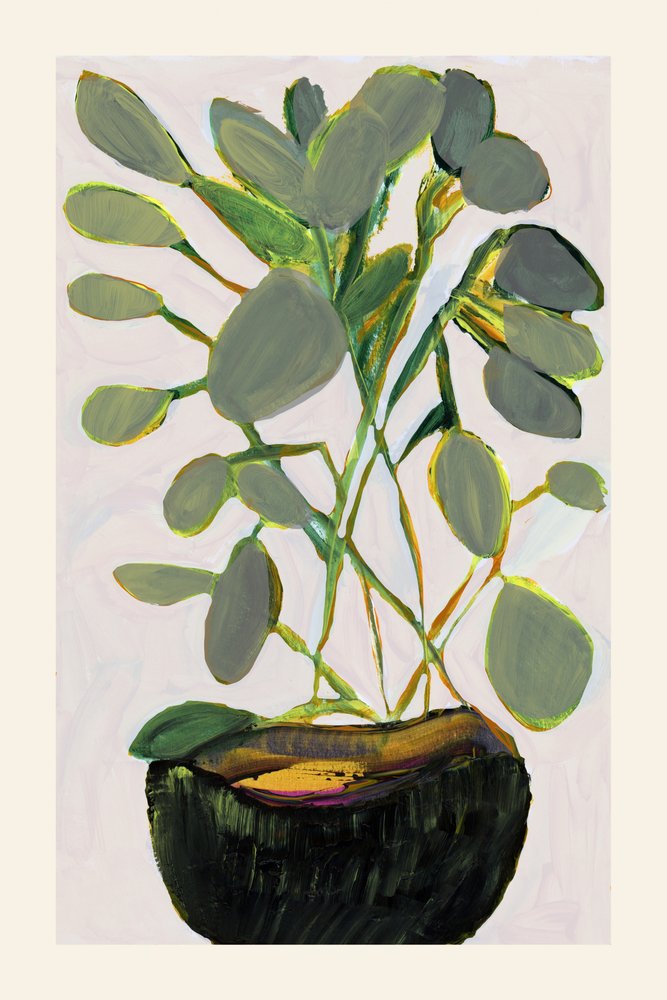青々とした観葉植物 作： 