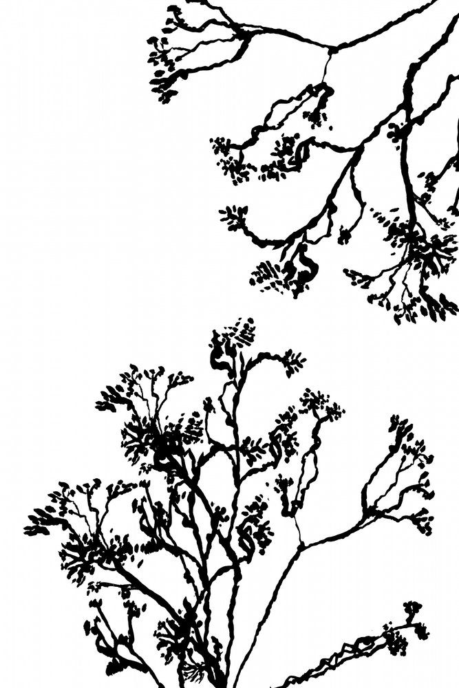  作： 