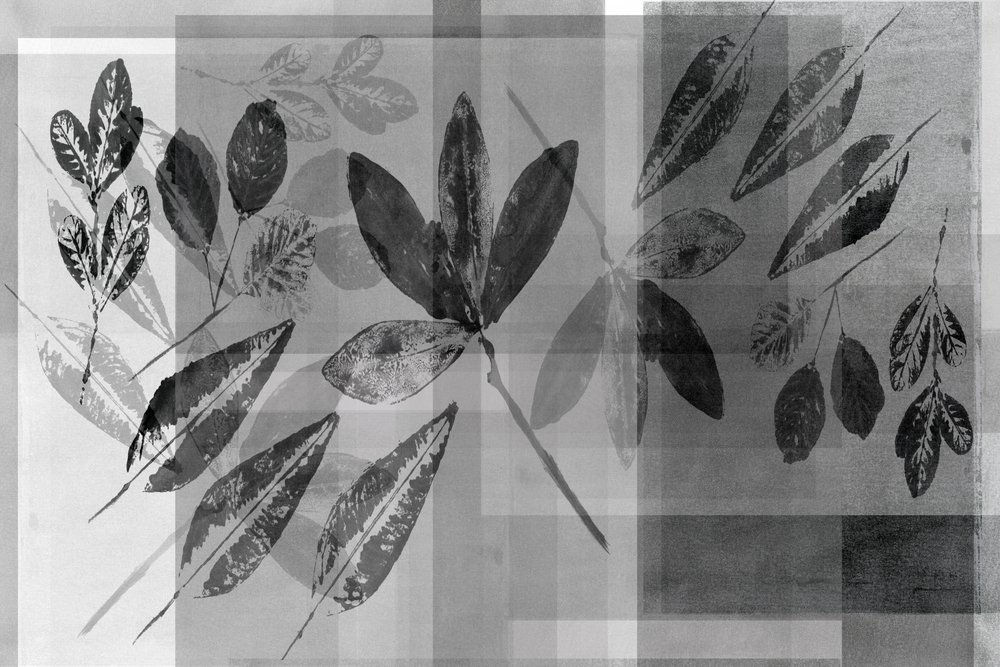 モノクロの植物のレイヤー 作： 