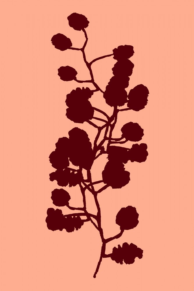 ピーチの植物シルエット 作： 