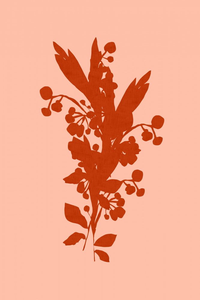テラコッタの花のシルエット 作： 