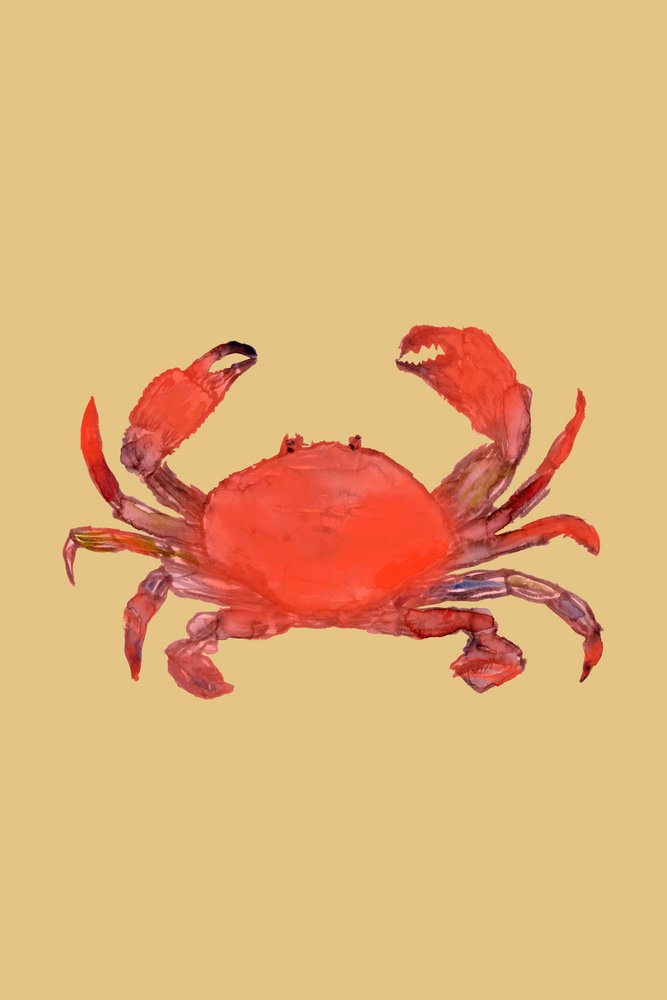 鮮やかな赤いカニ 作： 
