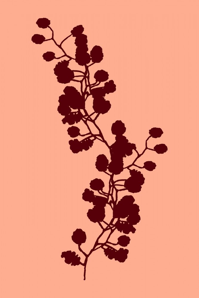 温かみのある植物のシルエット 作： 