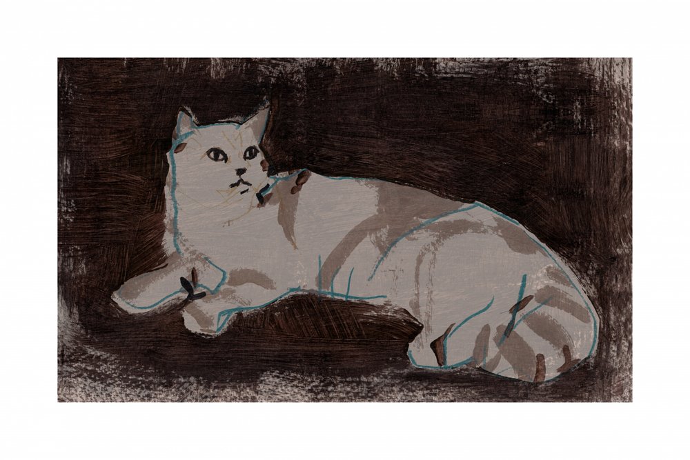 休む白い猫 作： 