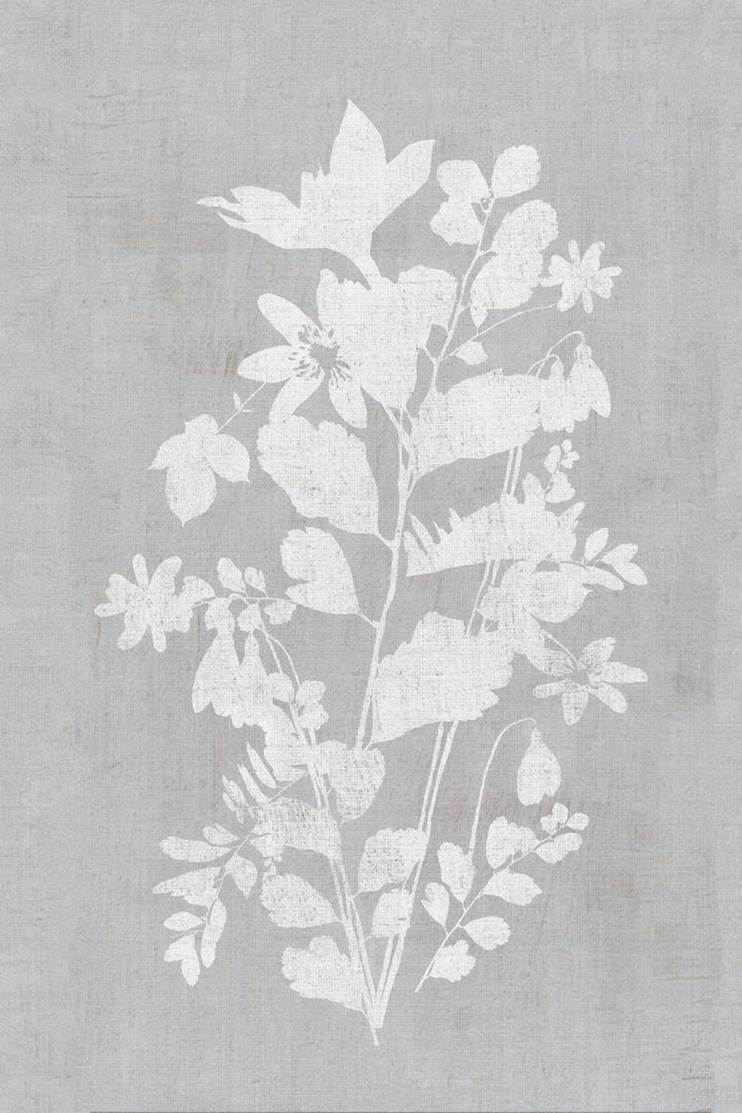 白い花のシルエット 作： 