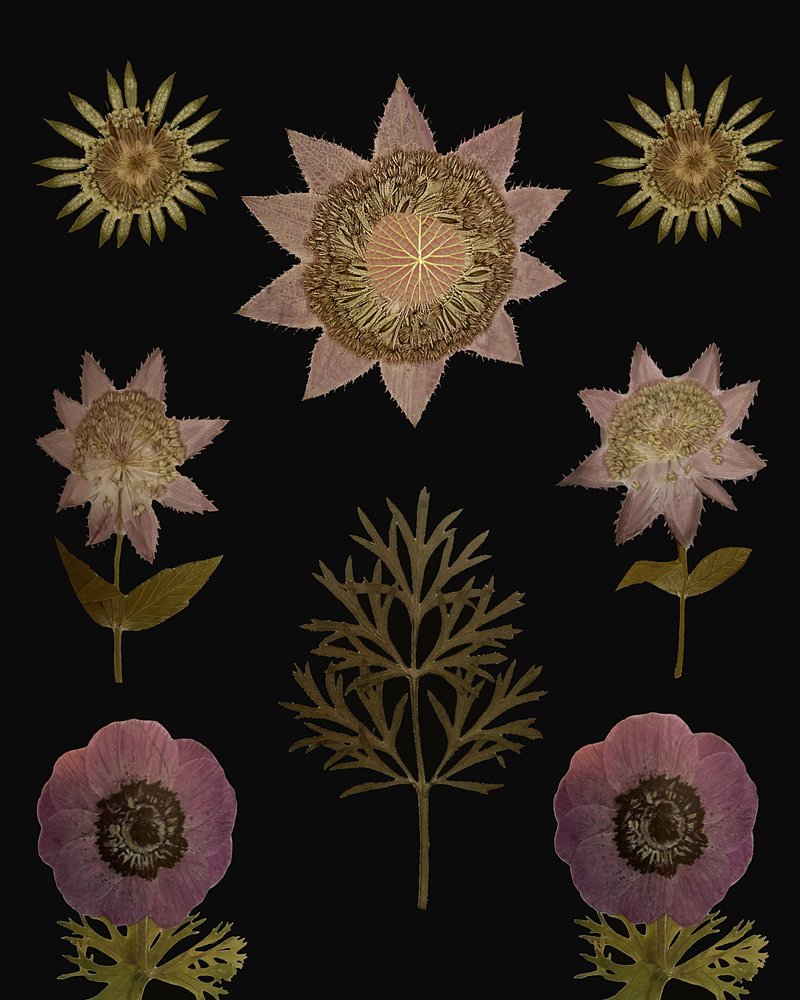  作： 