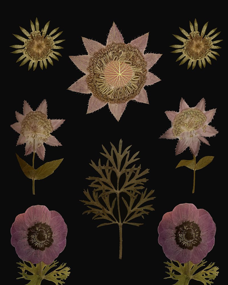  作： 