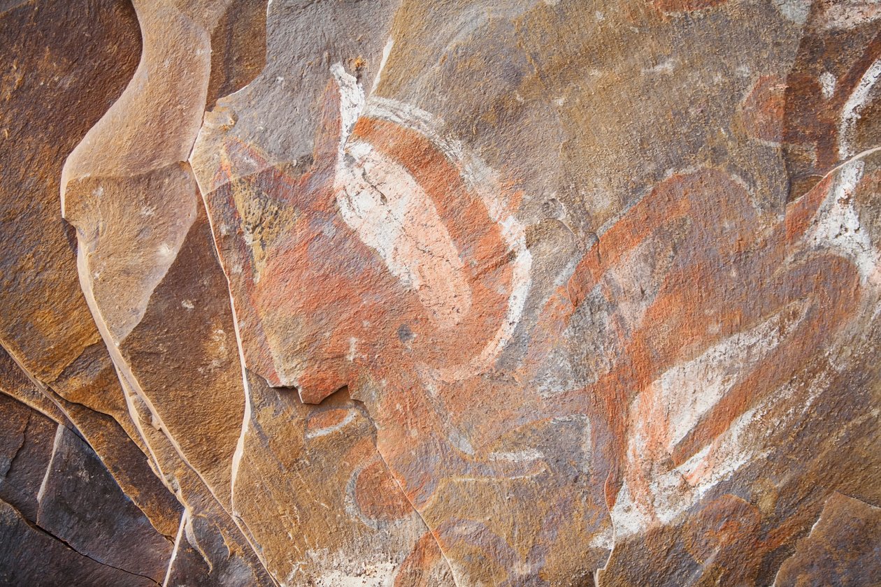 チリ、ラパヌイ（イースター島）の人間の食糧の洞窟に棲む海鳥の絵画 作： 不明