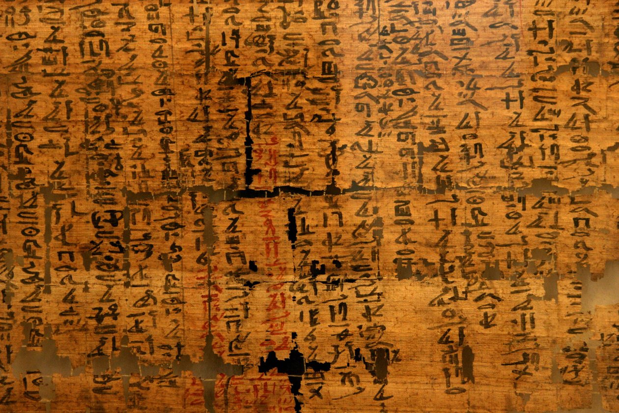 パピルス不明XII：目への痛みがラムセス3世（1976-1646 BC）の下に現れたため、ヘビにかまれたときの治療法を含む文書。トリノのエジプト博物館。 作： 不明