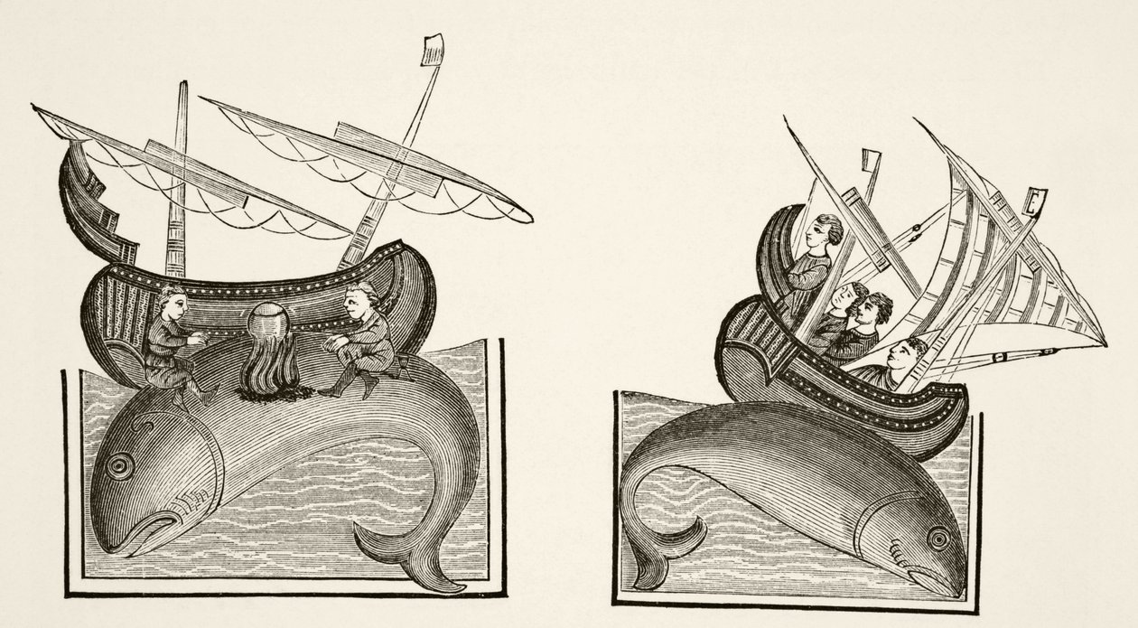 1878年のポールラクロワによる「中世の科学と文学」からのリチャードドフルニバルの「Bestiarire d&39;Amour」のミニチュアの後、航海士たちはクジラの背中を島と間違えた 作： 英語学校