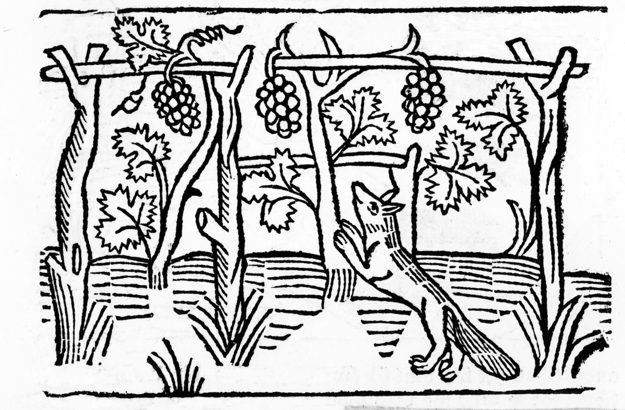 フォックスとレーズン、キャクストンの「イソップ寓話」のイラスト、1484年（木版画） 作： 英語学校