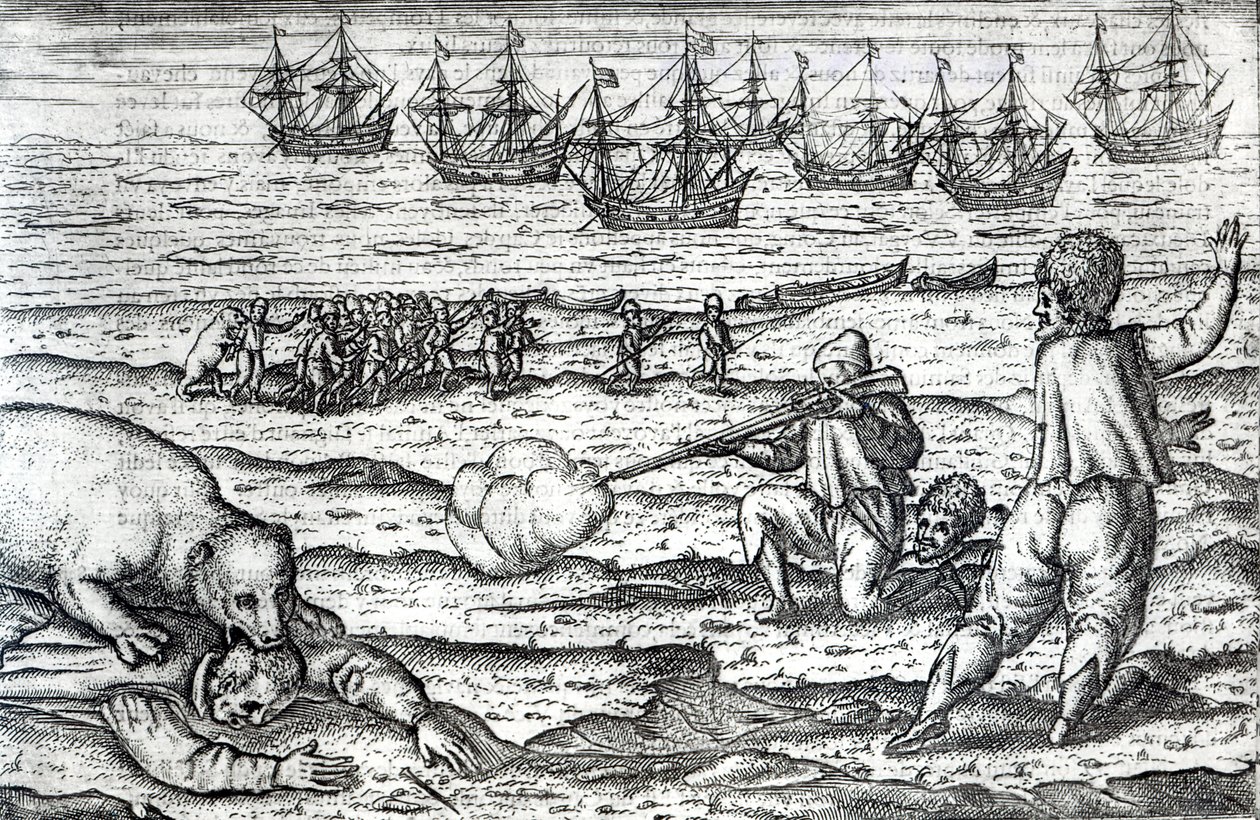 ホッキョクグマに襲わ船員、イラストDiarium Nauticum、またはゲリット・デ・ビアーによって見事3回の航海...」の真の記述、1598（彫刻） 作： オランダ語学校