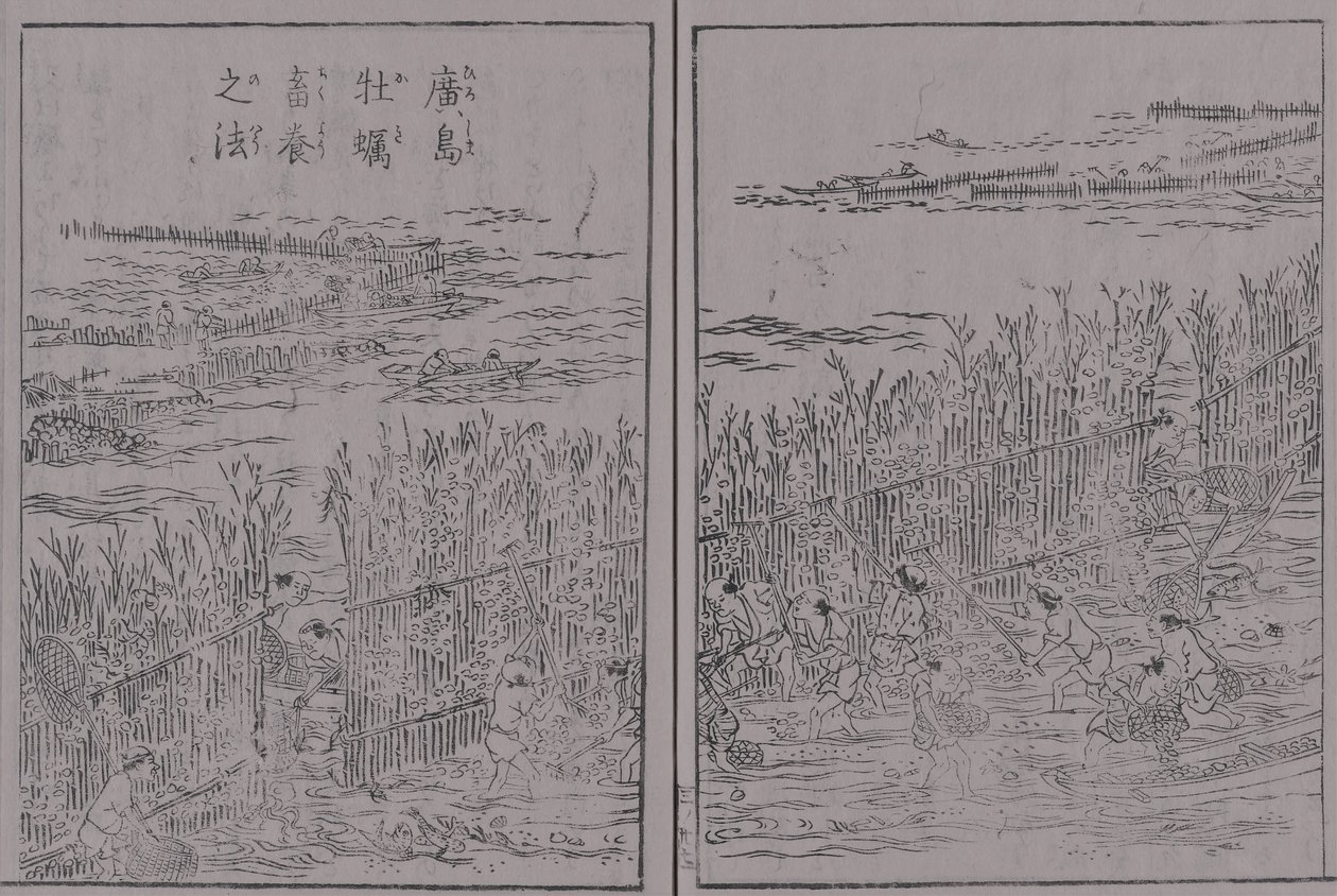 日本山海名産圖會 第三巻 広島牡蠣 広島牡蠣蓄養之法 作： 関関月かんげつ