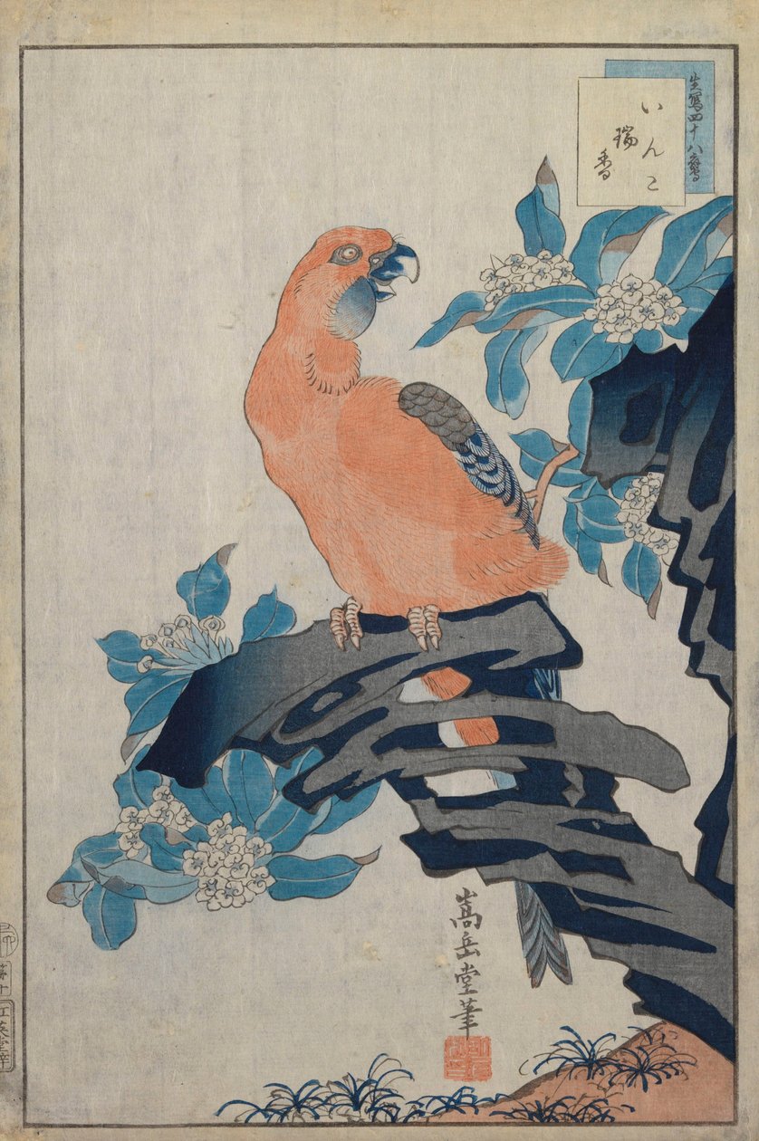 無題 作： 中山菅堂