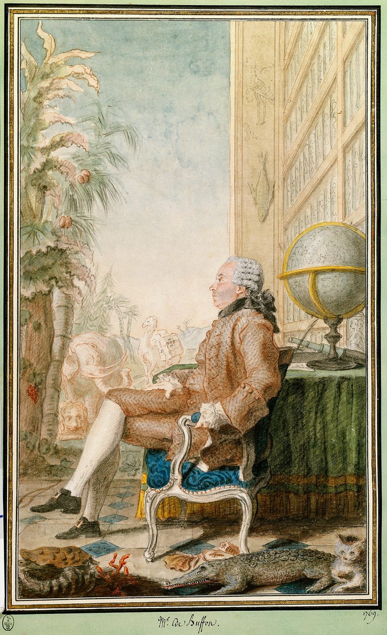 ビュフォン伯爵ジョルジュ=ルイ・ルクレール(1707-1788)の肖像。ルイ・カロギス・カルモンテル（1717-1806）による水彩画。シャンティ。コンデ美術館 作： カルモンテル