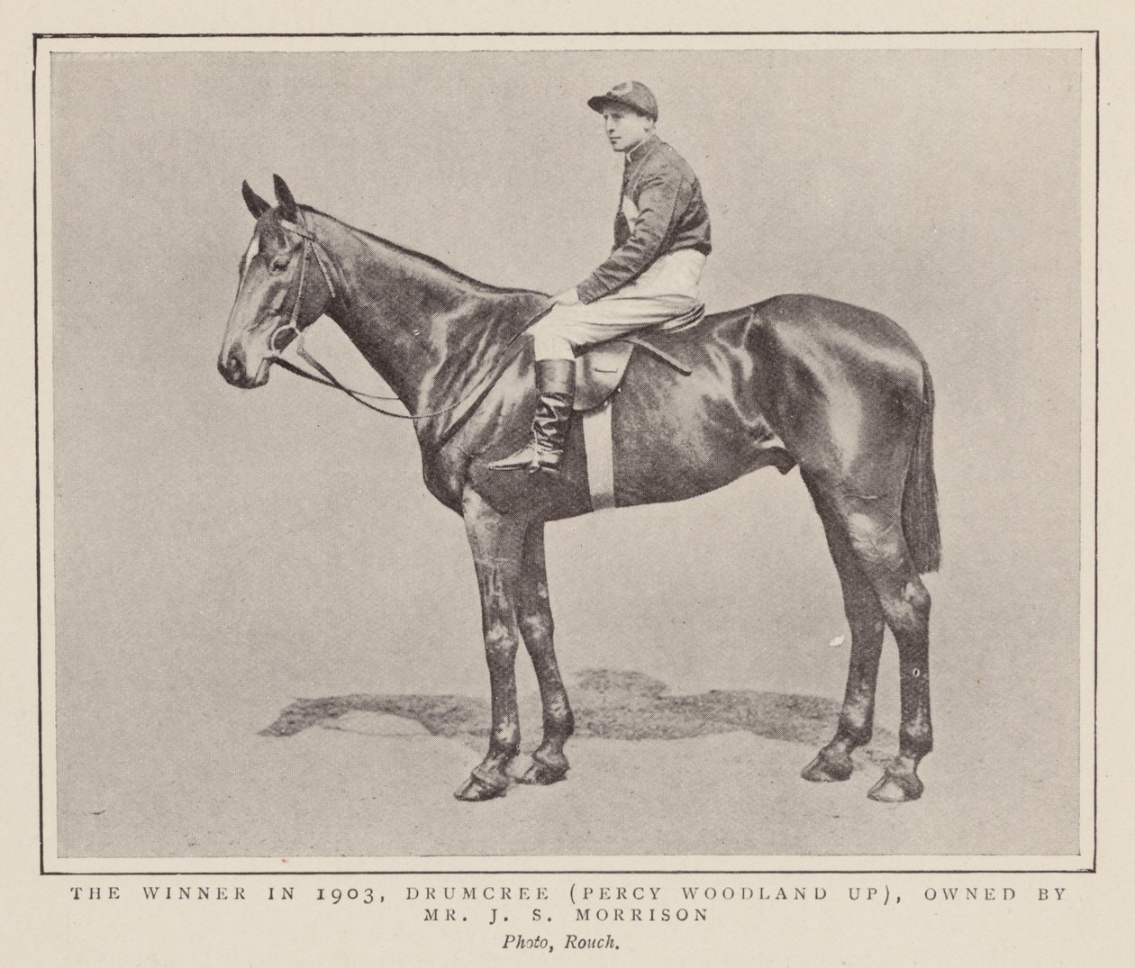 1903年グランドナショナルの勝馬ドラムクリー（モノクロ写真） 作： （後）イギリスの写真家