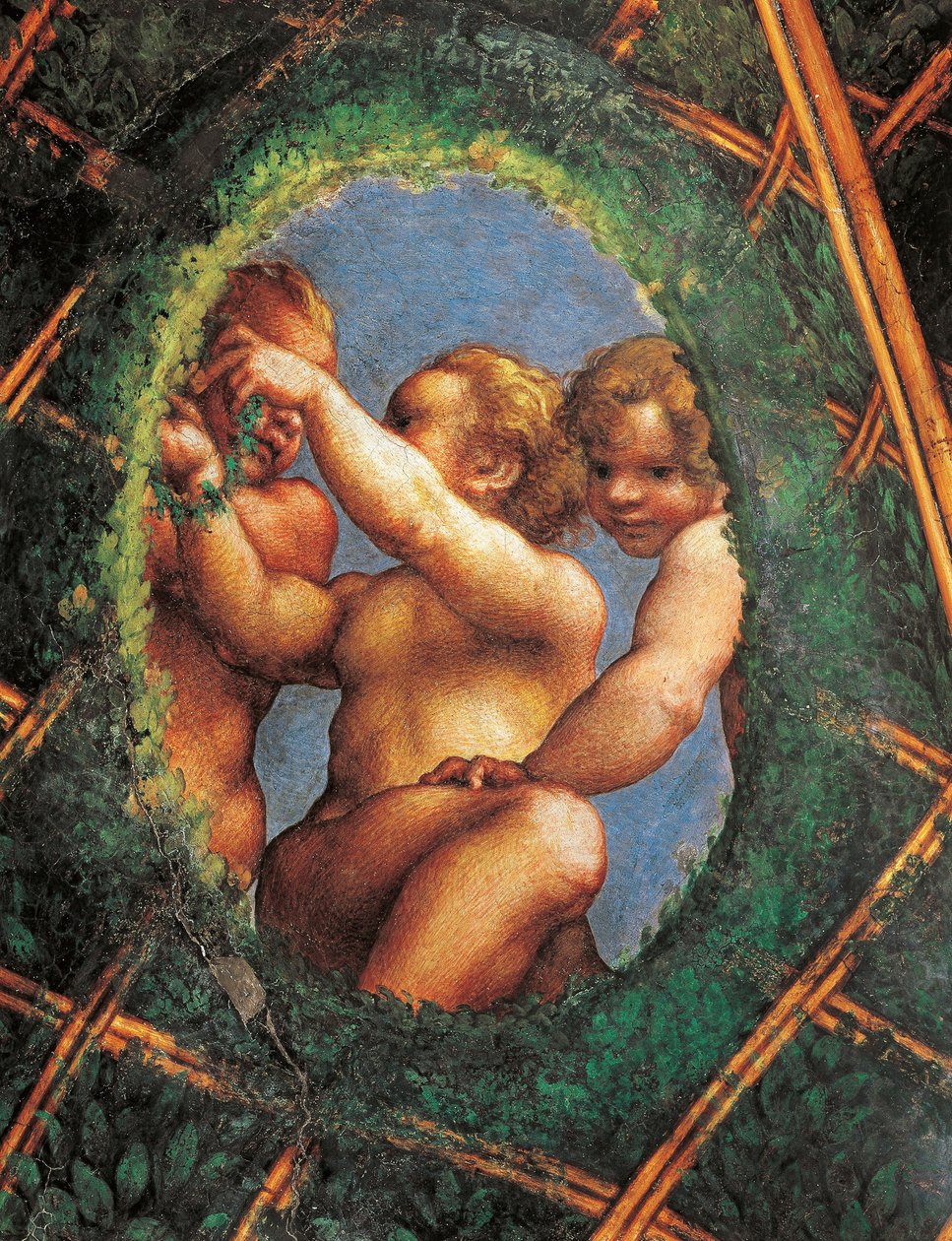 聖パウロの間または修道院の間の装飾の細部、ケルブ付き卵形 作： （c.1489-1534）コレッジョ