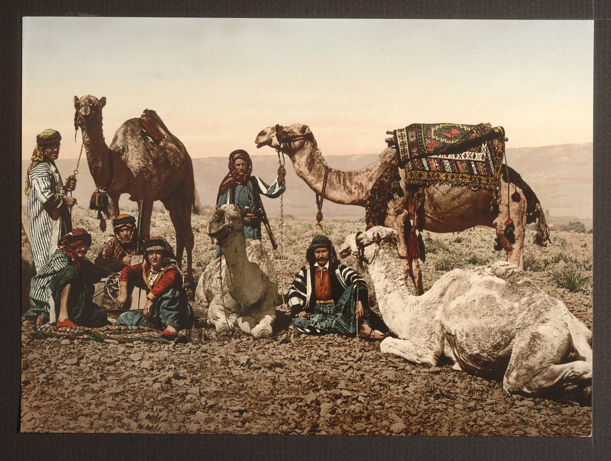 休憩、パブを持つ砂漠のラクダの列車。 1895 作： アメリカの写真家
