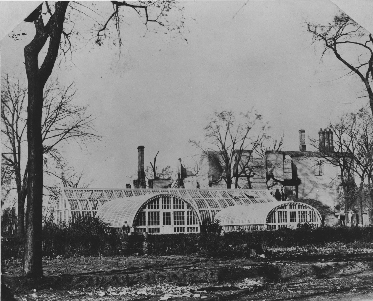 1871年、1871年のシカゴ火災後のエズラB.マッカッグス邸宅と温室 作： アメリカの写真家