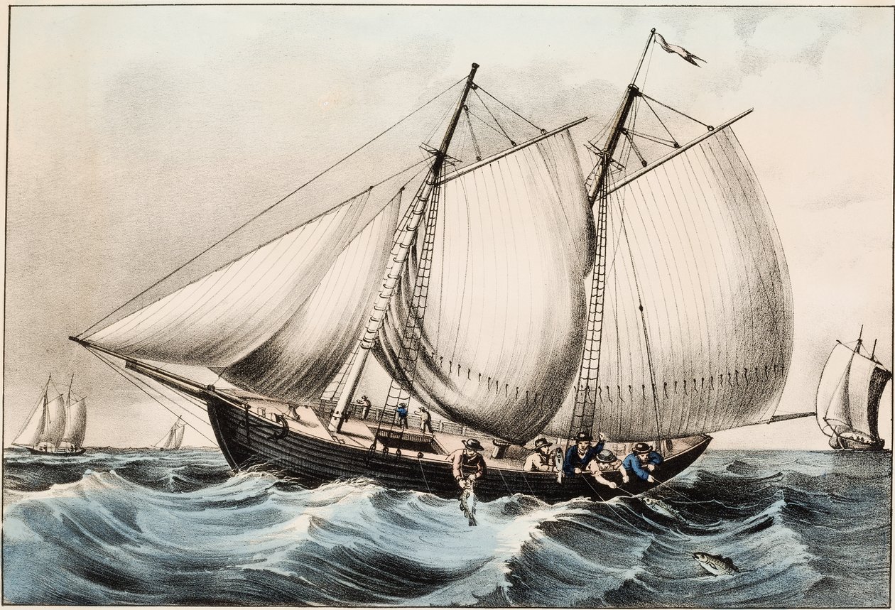 ニューファンドランド沖のタラ釣り、パブ。 1872 作： アメリカの学校