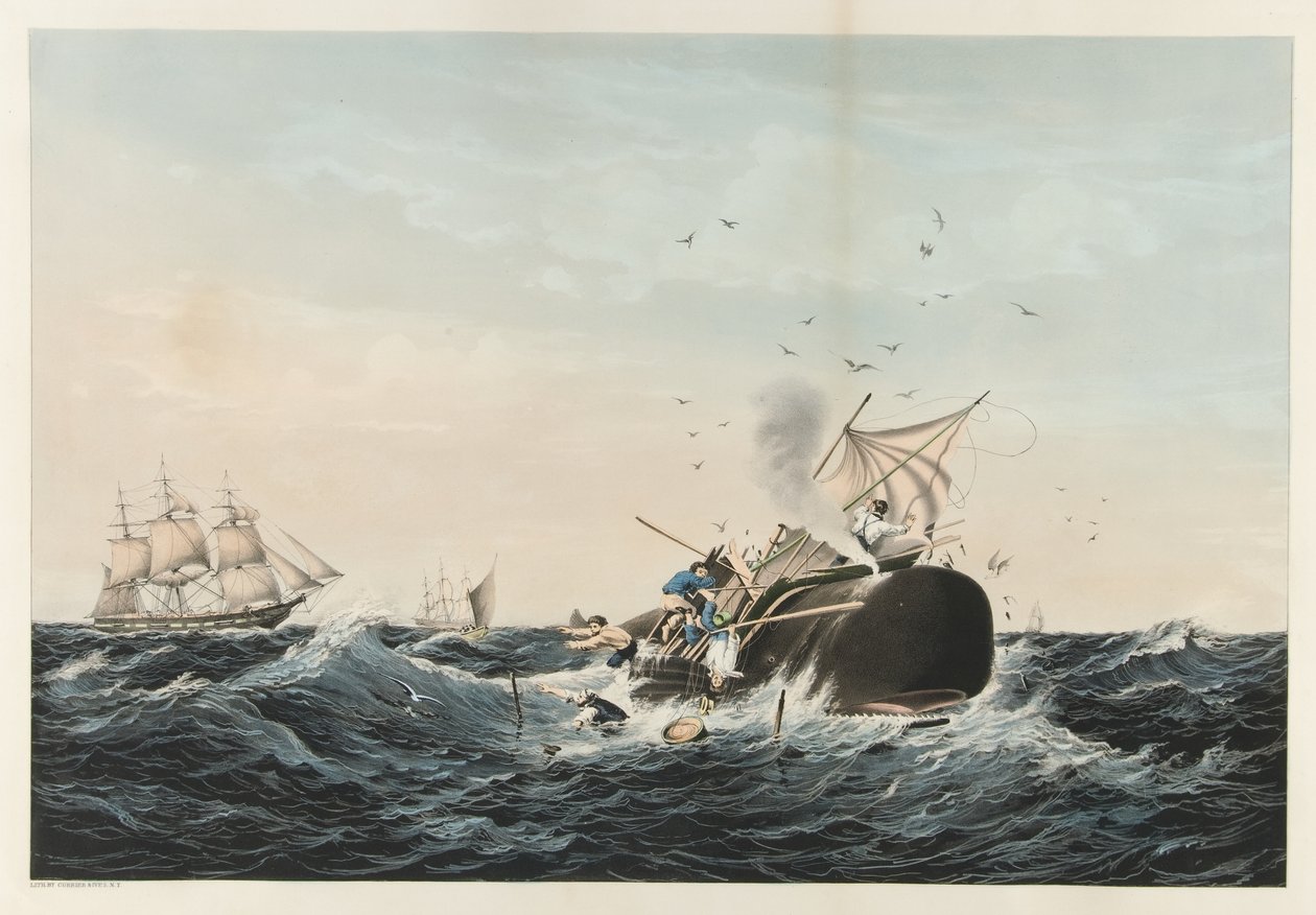 クジラ漁業-マッコウクジラ？ 1860 作： アメリカの学校