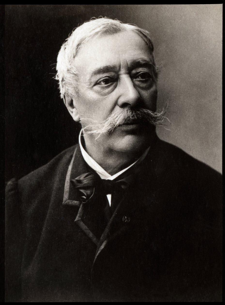 フランスの画家、アルフレッドスティーブンス（1823-1906）の肖像。 作： フランスの写真家