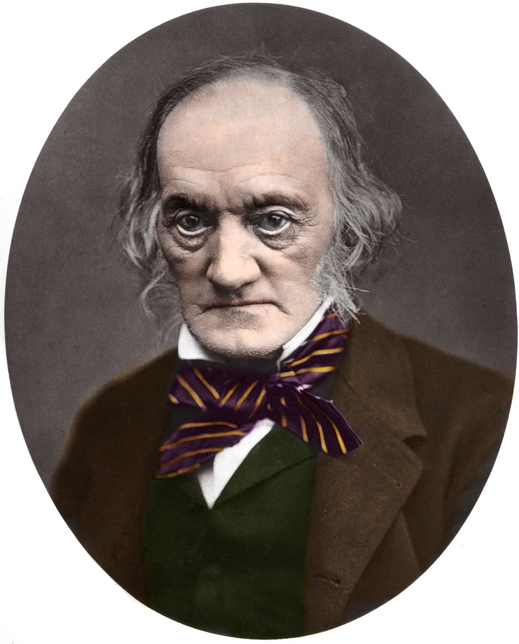 イギリスの古生物学者と解剖学者リチャードオーウェン（1804-1892）の肖像 作： フランスの写真家