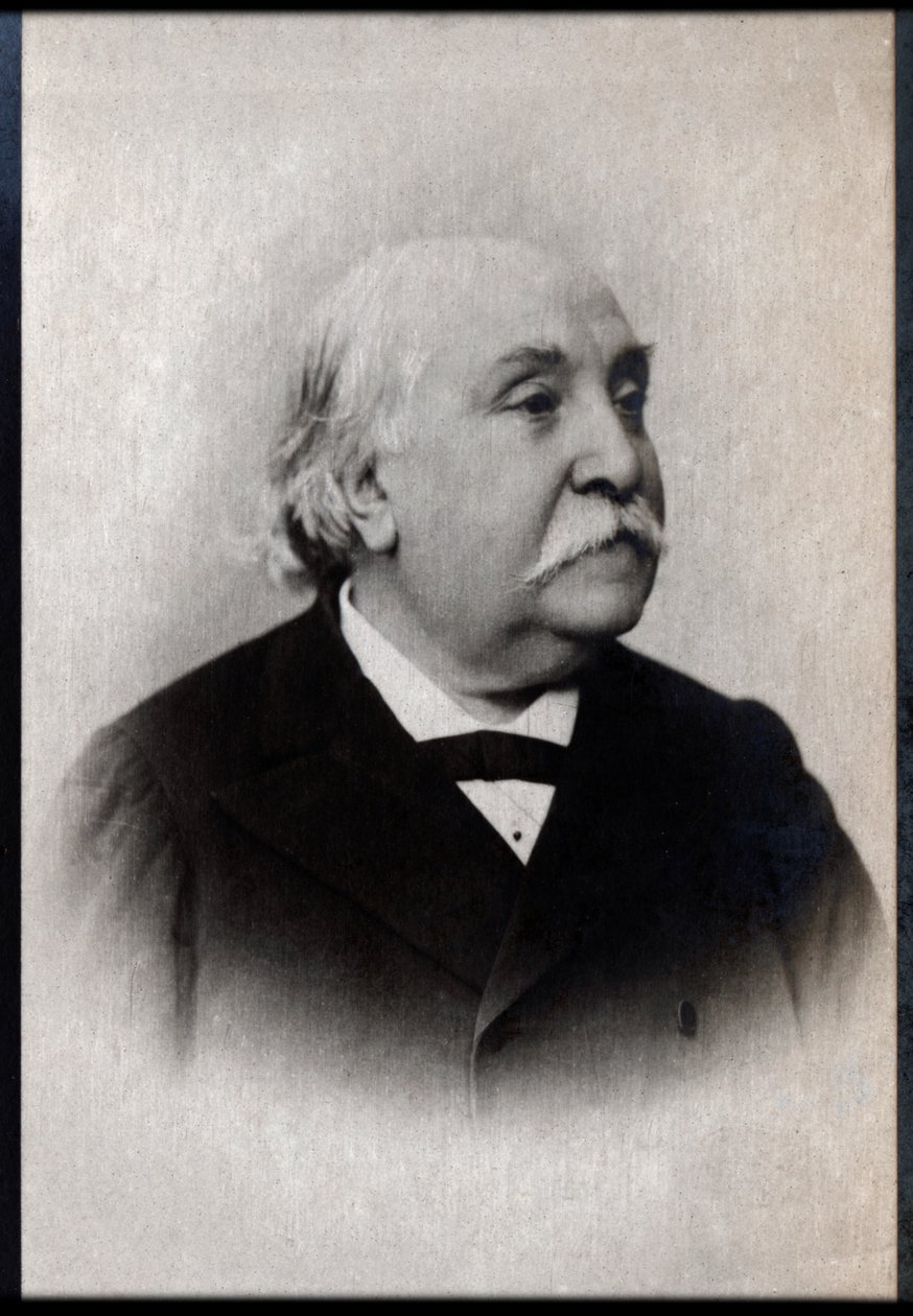 フランスの作家、フェルディナンドファーブル（1827-1898）の肖像。 作： フランスの写真家