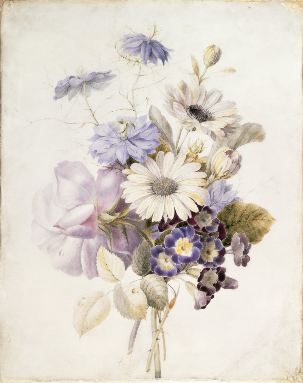 ヒナギクと花、1840（紙にトイレ） 作： フランス語学校