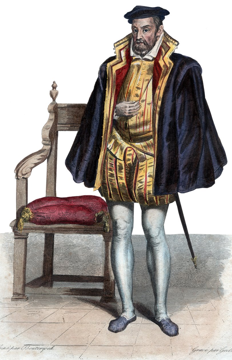ガスパールIIコリニー（1519-1572）、フランスの貴族、提督の肖像。 作： フランス語学校