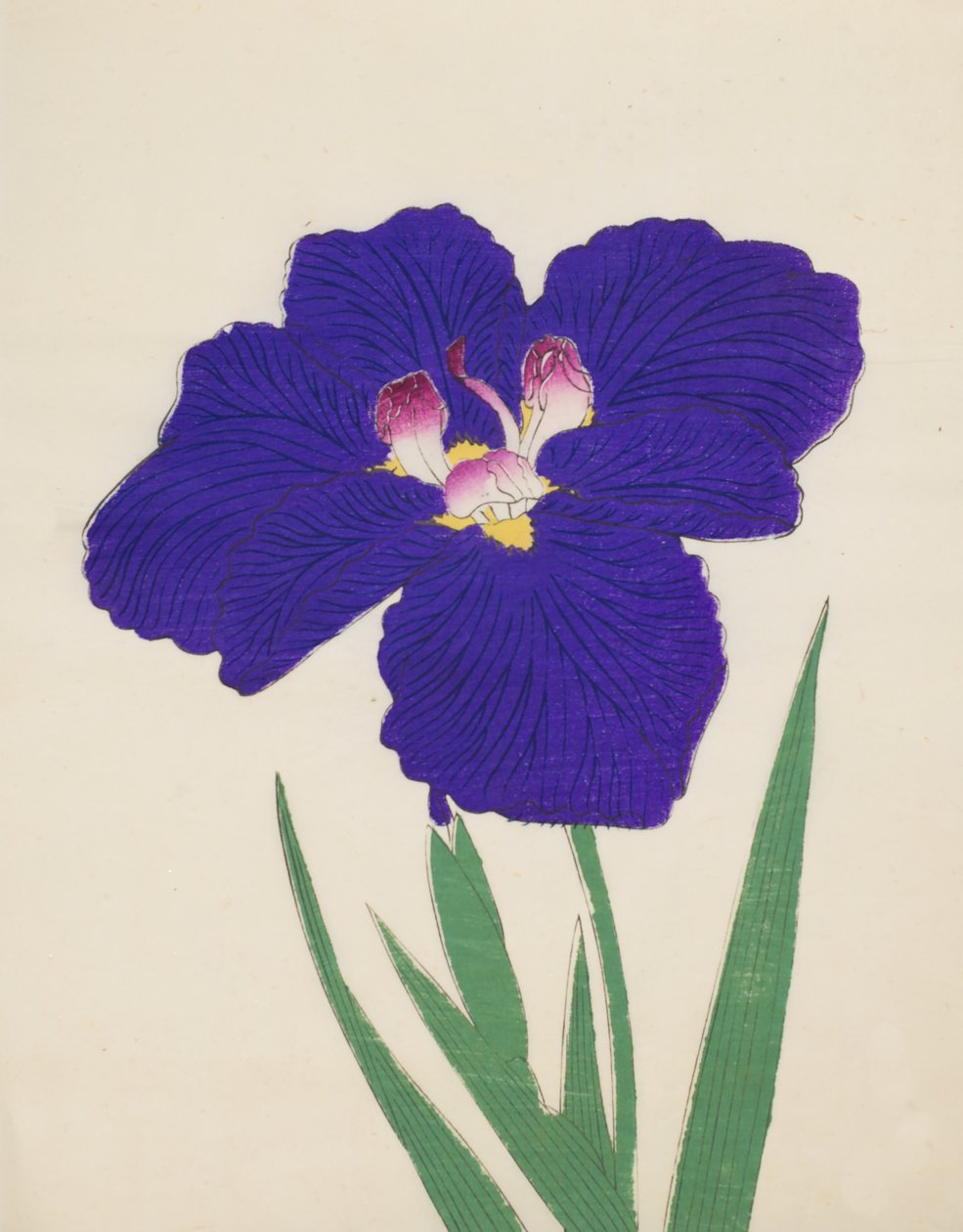 Shira-No-Tamoto, No. 49, 1890 (colour woodblock print) 作： 日本語学校