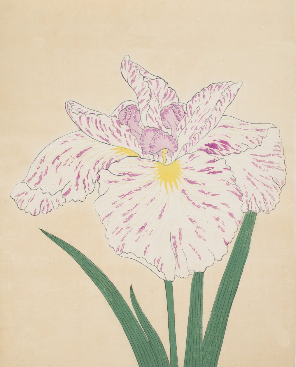 Uji-No-Kawagiri, No. 55, 1890 (colour woodblock print) 作： 日本語学校