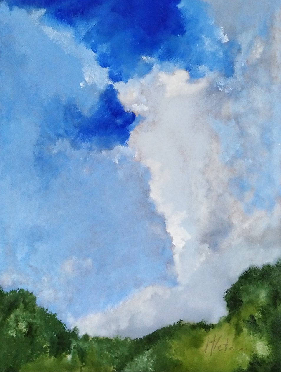 ヘッジと雲 作： 