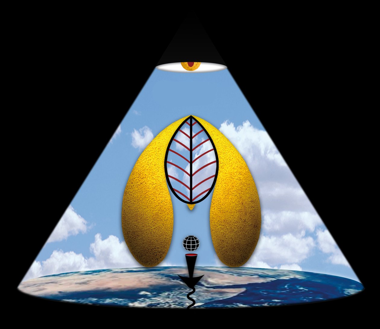 Im Anfang war das Wort (aus der Serie Lichtung) 作： 