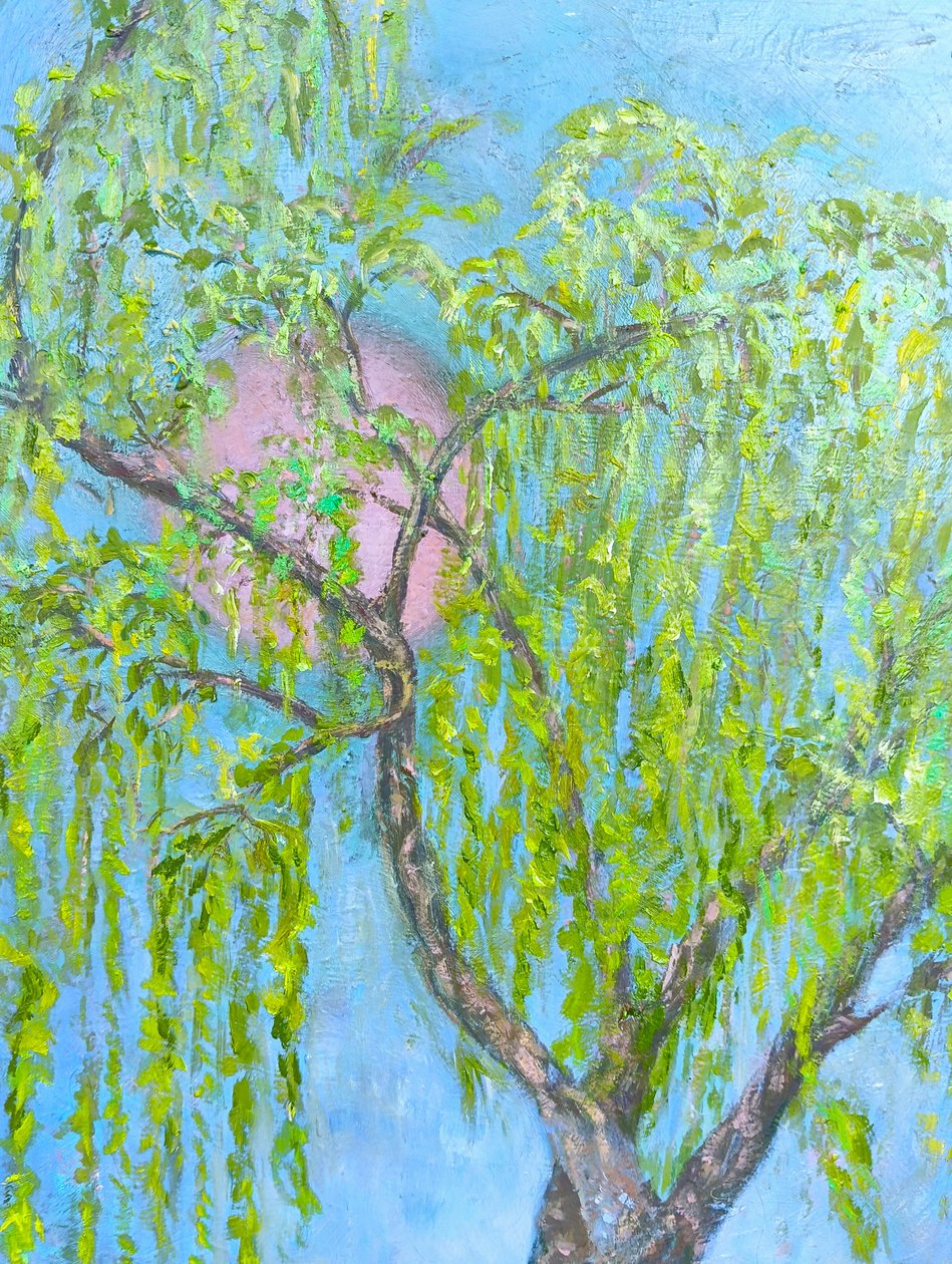 笑わない柳 作： 