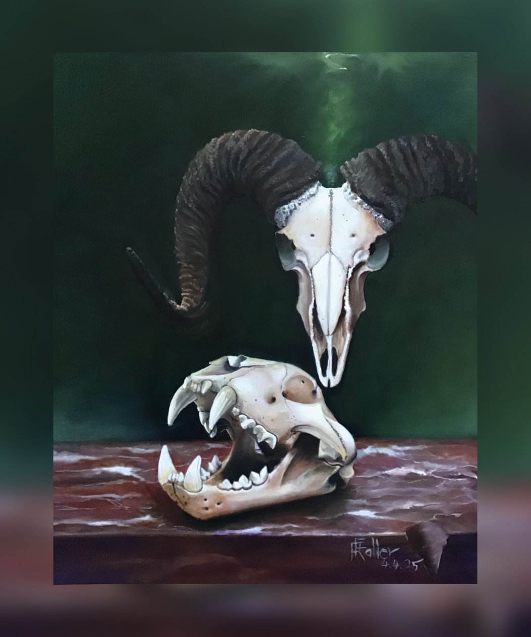 死を想え（動物の頭蓋骨の習作） 作： 
