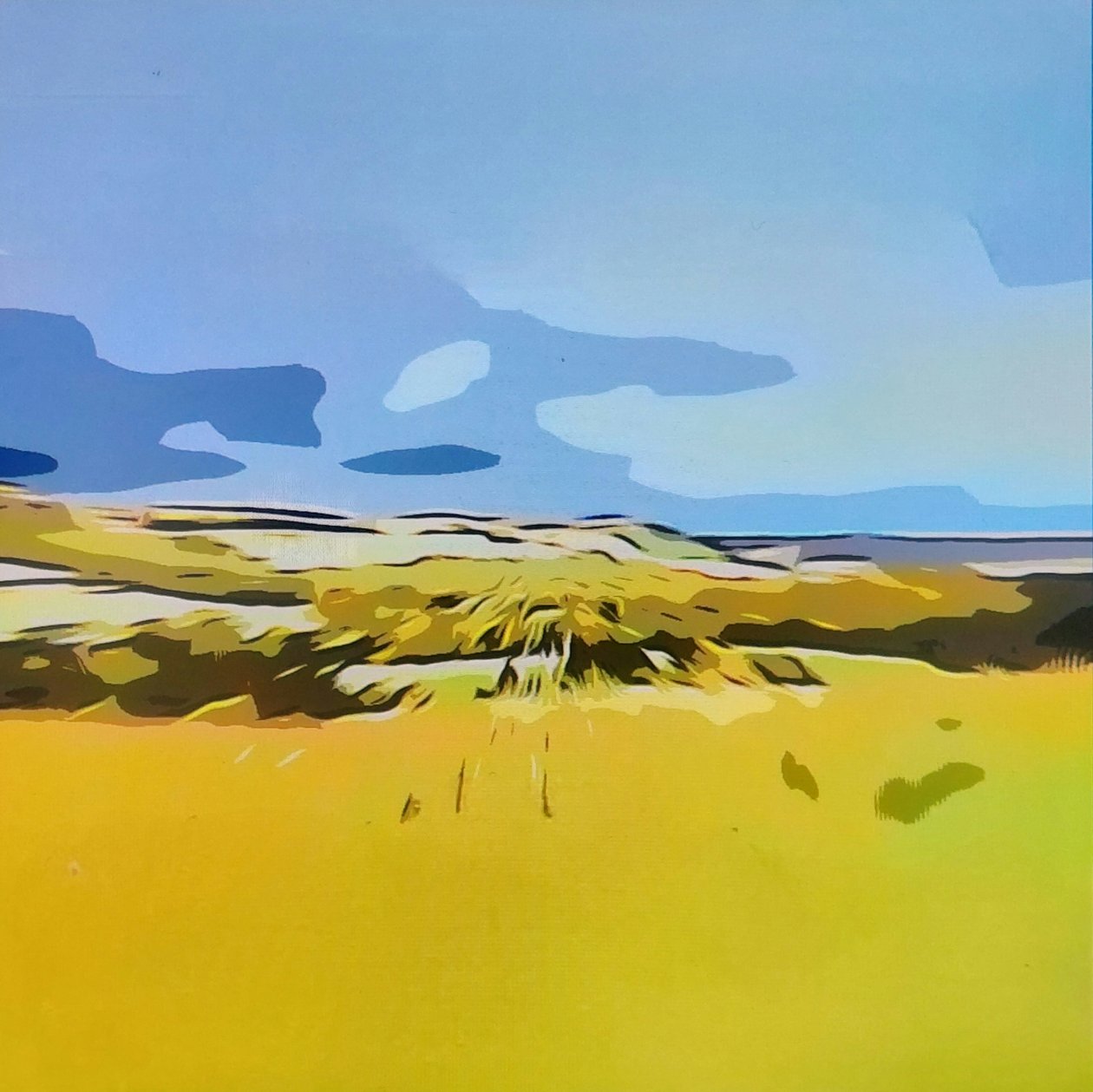 Digitale Landschaft 11 作： 