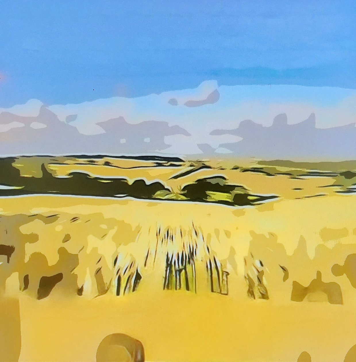 Digitale Landschaft 15 作： 