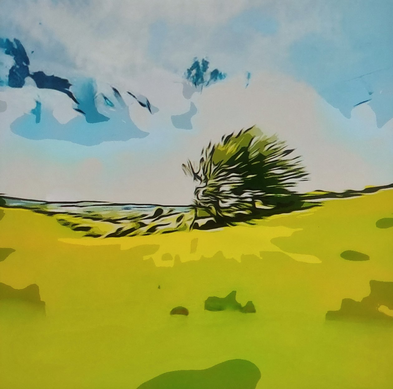 Digitale Landschaft 27 作： 