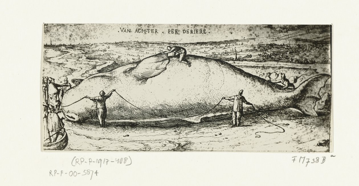 1577 年 7 月 2 日、アントワープ近郊に打ち上げられたクジラの版画 作： AB van Deinse