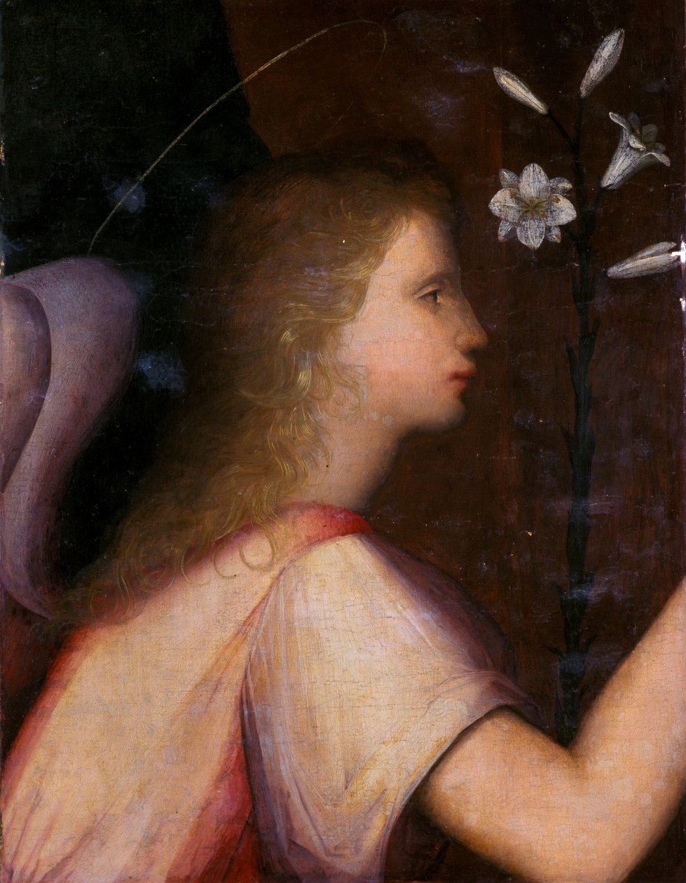 大天使ガブリエル（木のテンペラ） 作： A. 1485 c.1525ピチネリ