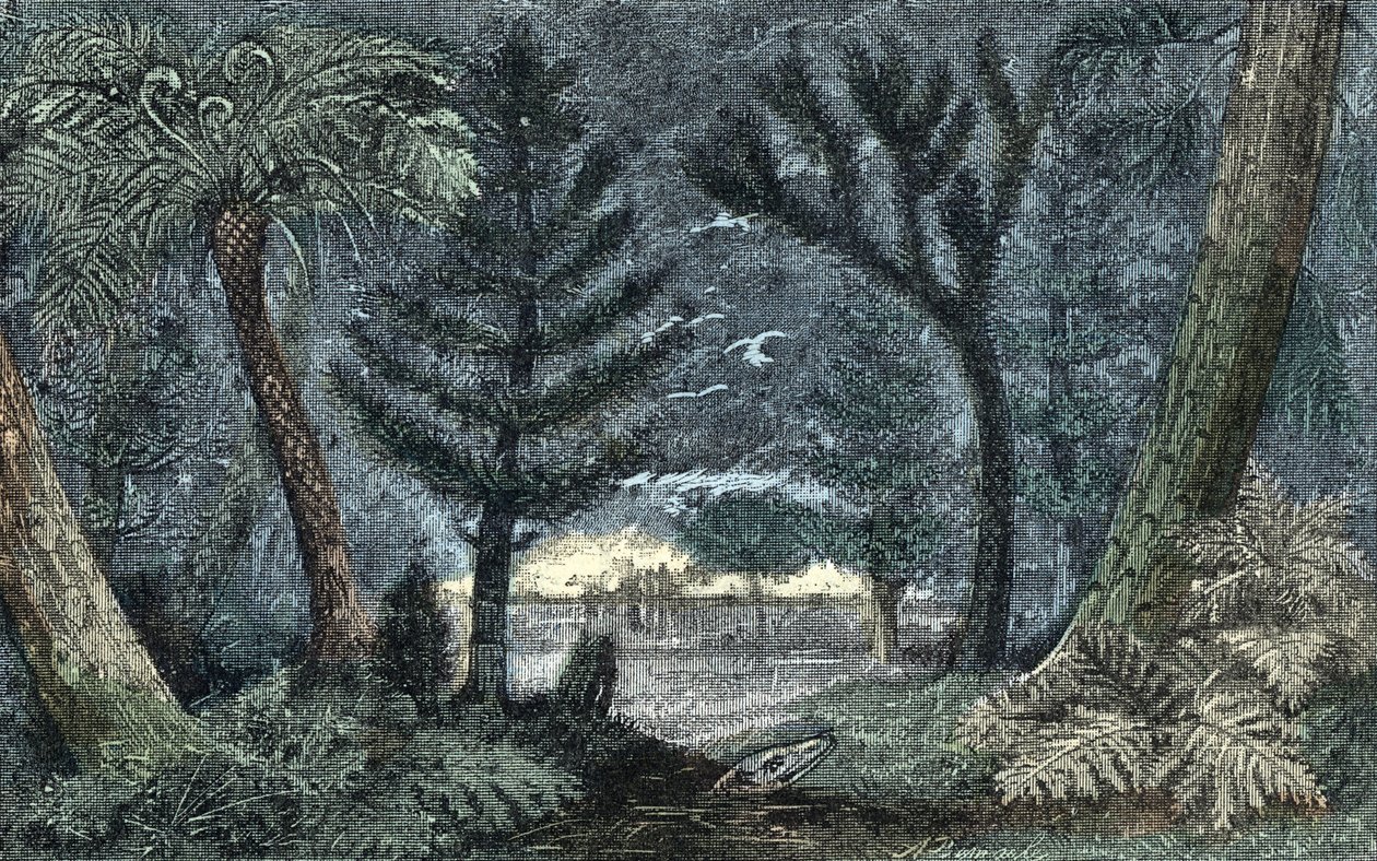 Pré-história: paisagem característica com pântano e floresta 作： A.デマール